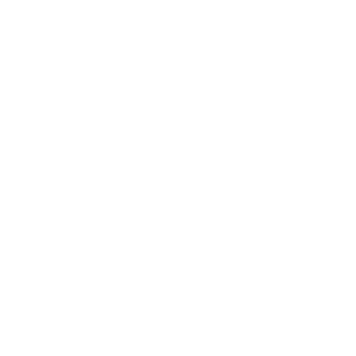 ernabus logo